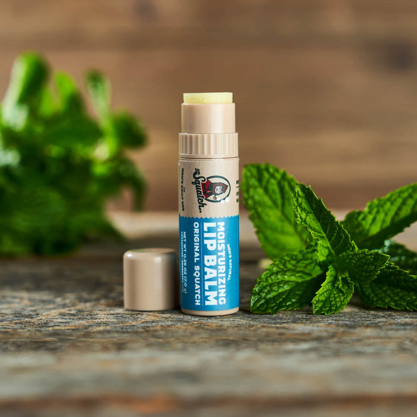Original Mint 0.25oz Lip Balm 24ct Pack